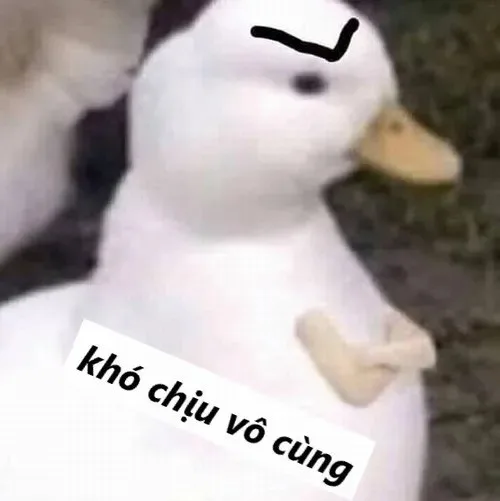 khó chịu vô cùng meme