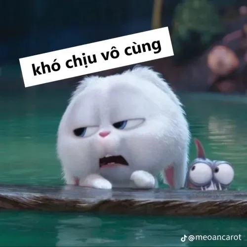 khó chịu vô cùng meme