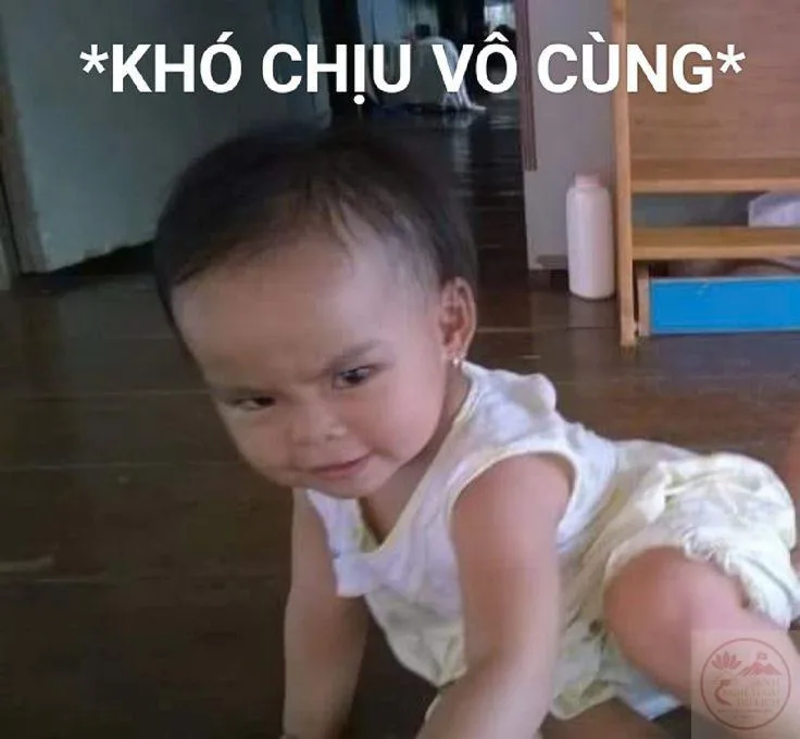khó chịu vô cùng meme