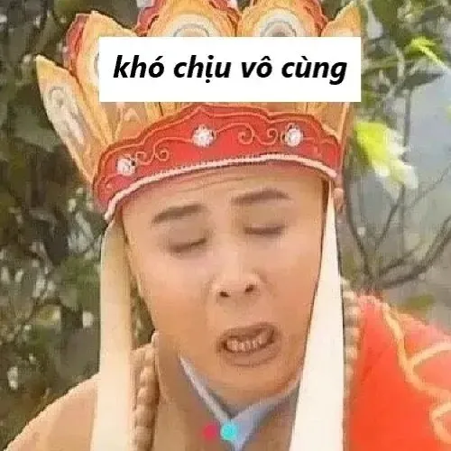 khó chịu vô cùng meme