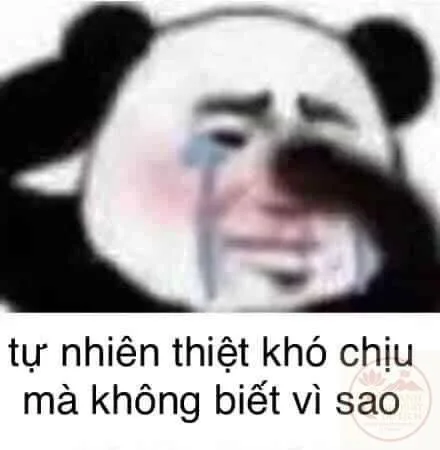 khó chịu vô cùng meme