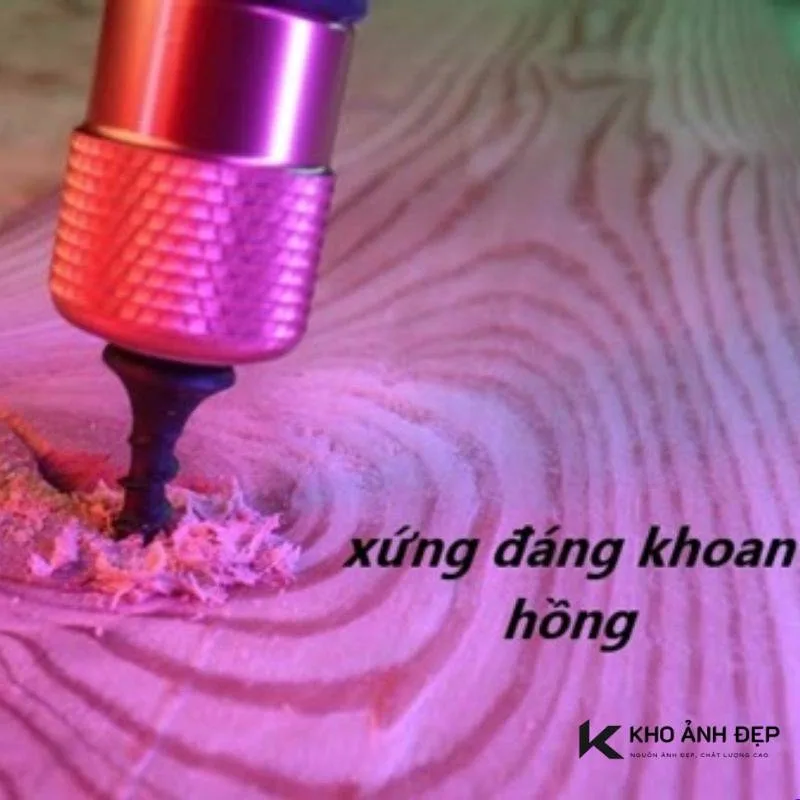 khoan hồng meme