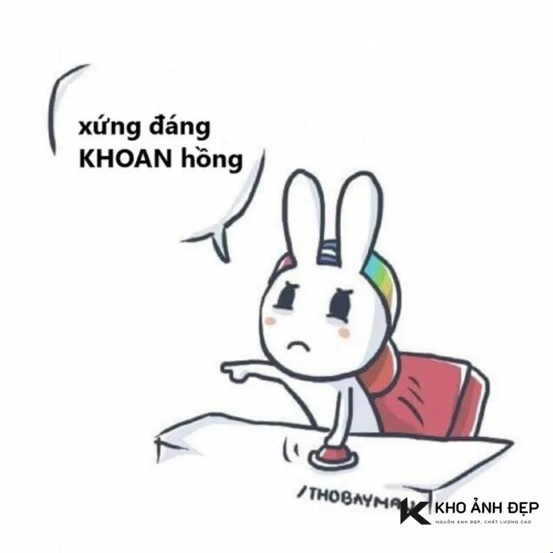 khoan hồng meme