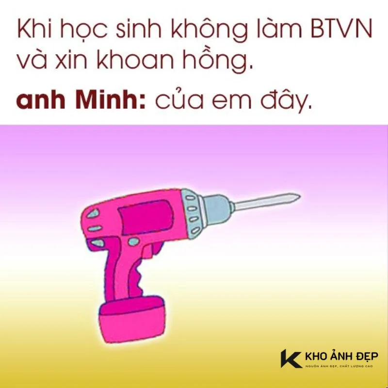 khoan hồng meme