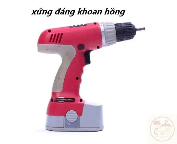 khoan hồng meme