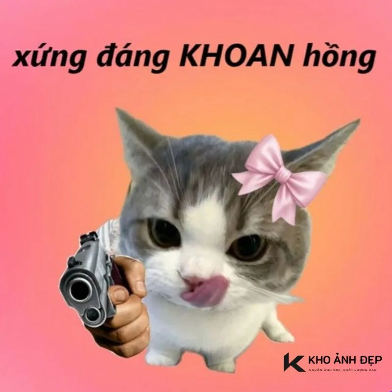 khoan hồng meme