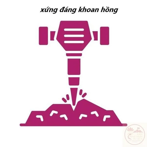 khoan hồng meme
