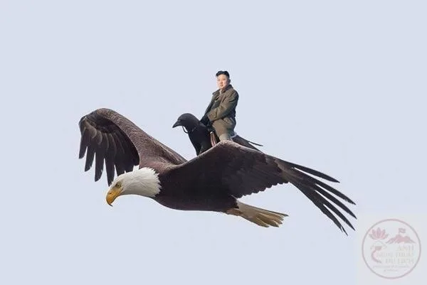 ảnh chế kim jong un