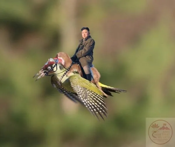 ảnh chế kim jong un