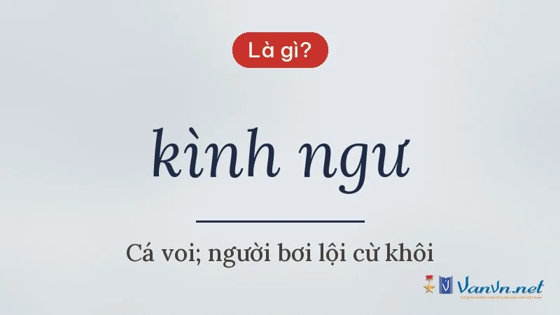 kình ngư là gì