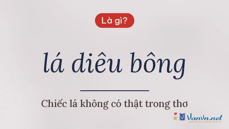 lá diêu bông là gì