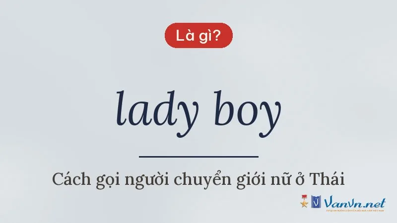 lady boy là gì
