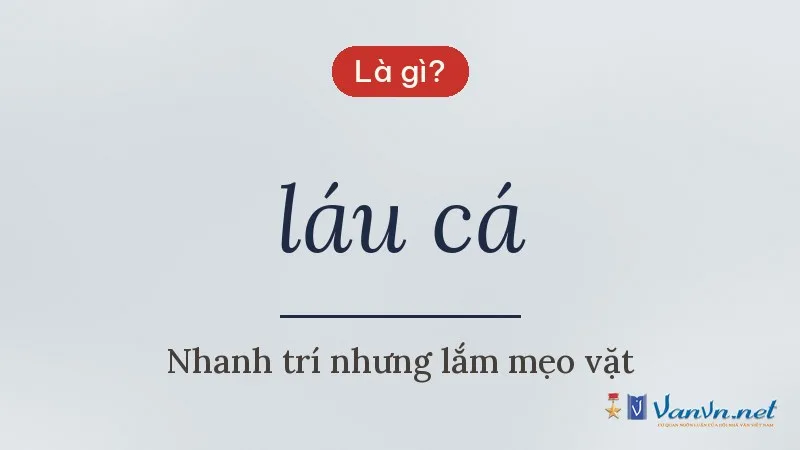 láu cá là gì