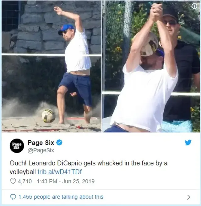 leonardo dicaprio meme