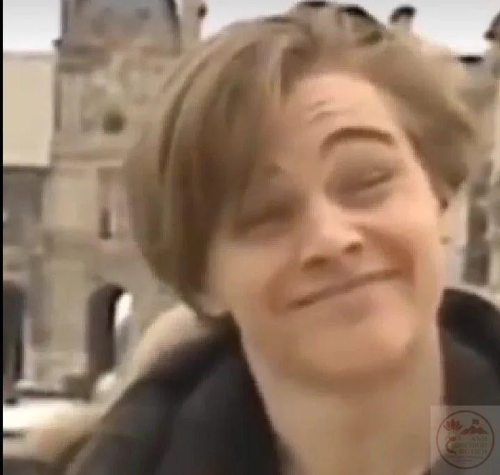 leonardo dicaprio meme