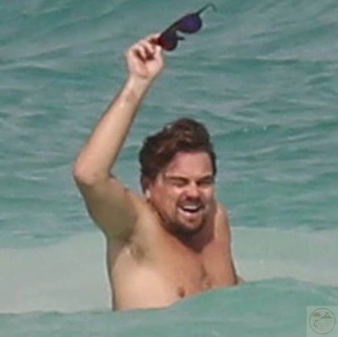 leonardo dicaprio meme