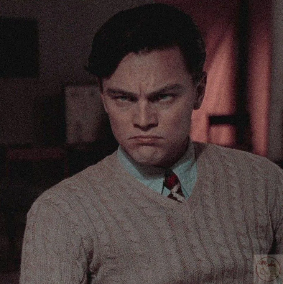 leonardo dicaprio meme