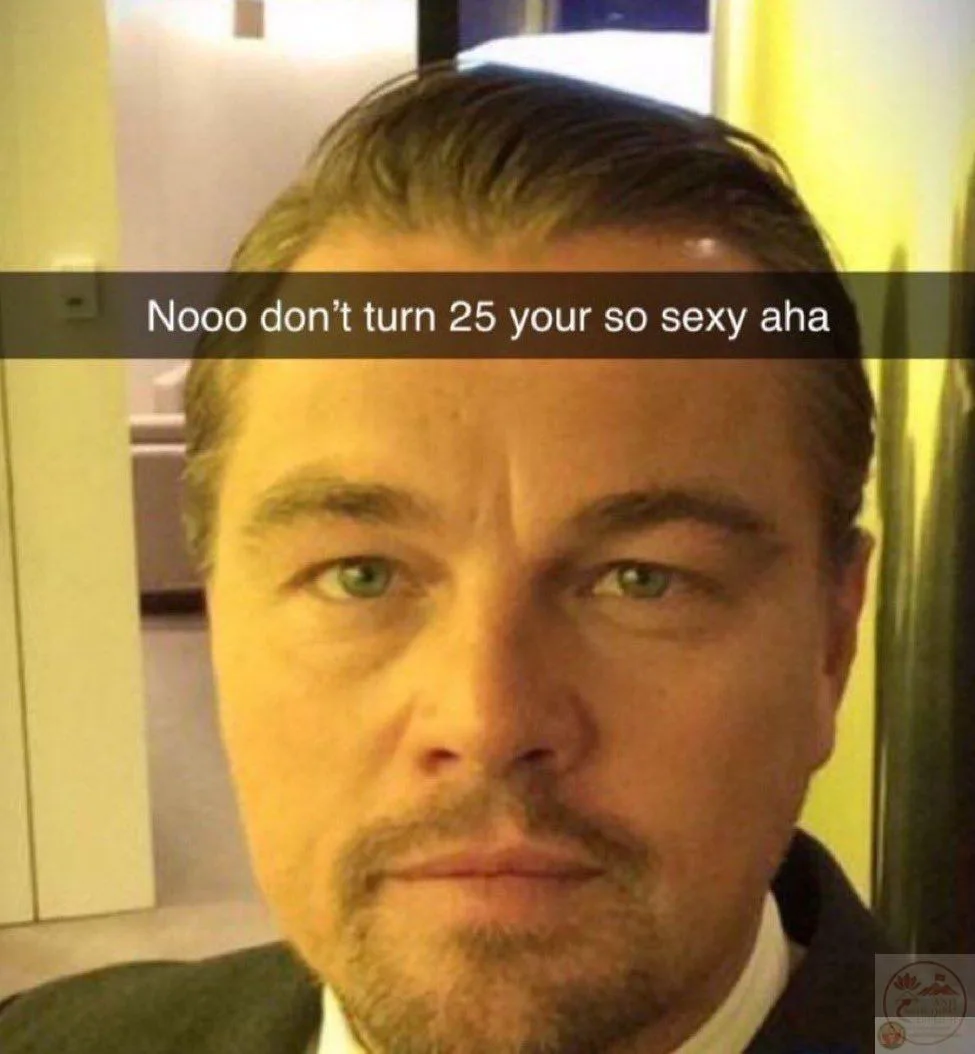 leonardo dicaprio meme