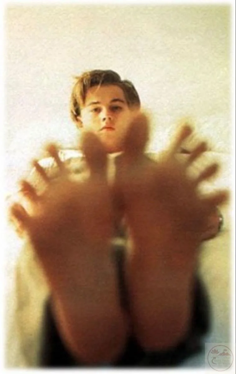 leonardo dicaprio meme