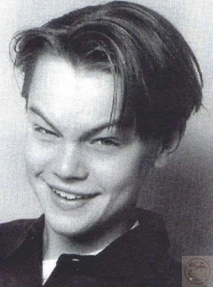 leonardo dicaprio meme