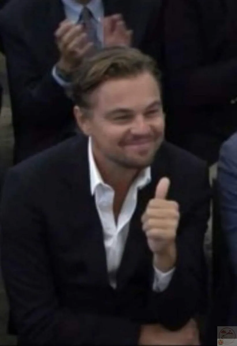 leonardo dicaprio meme