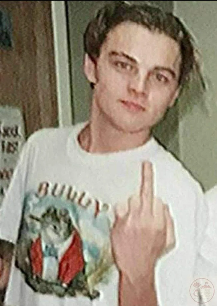 leonardo dicaprio meme