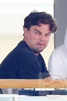 leonardo dicaprio meme