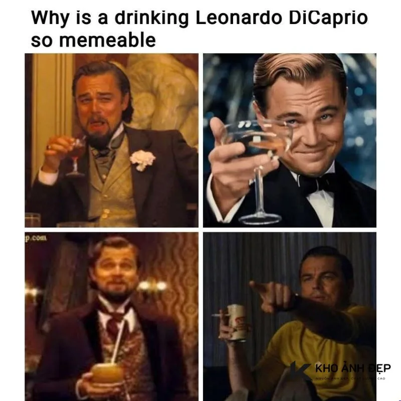 meme leonardo