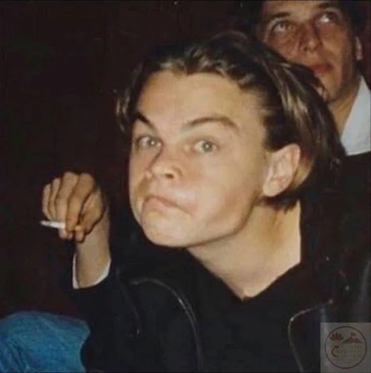 leonardo dicaprio meme