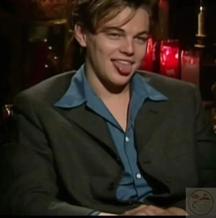 leonardo dicaprio meme