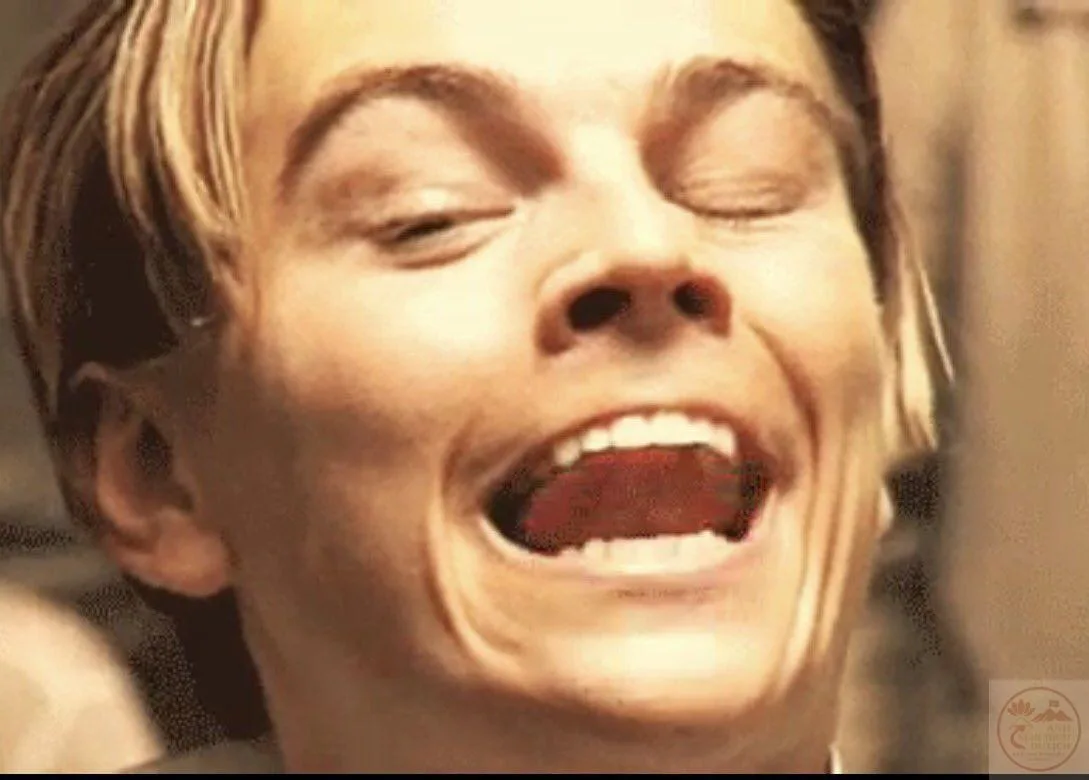 leonardo dicaprio meme