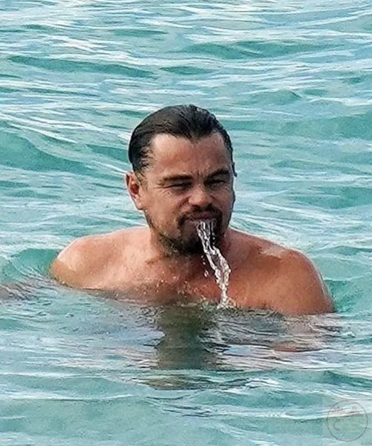 leonardo dicaprio meme