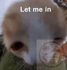 let me in meme