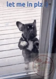 let me in meme
