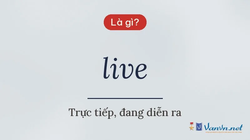 live là gì
