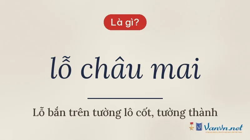 lỗ châu mai là gì