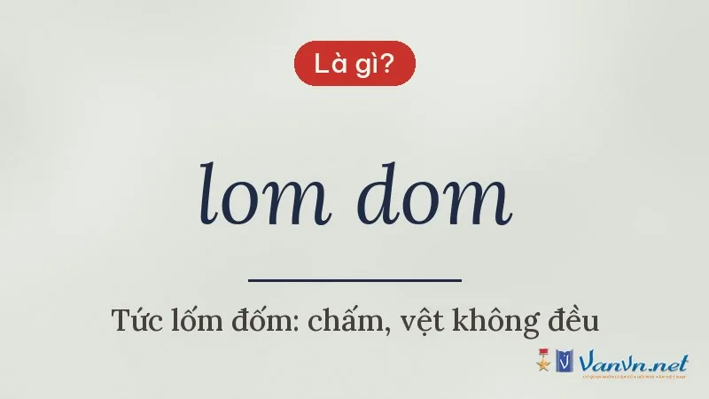lom dom là gì