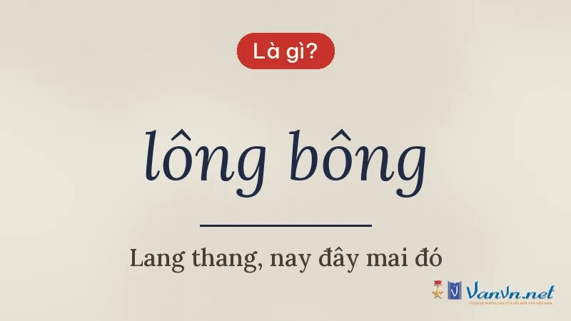 lông bông là gì