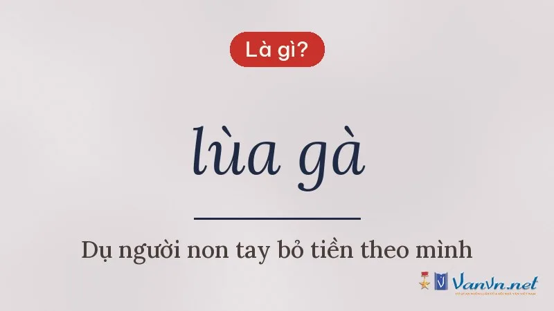 lùa gà là gì