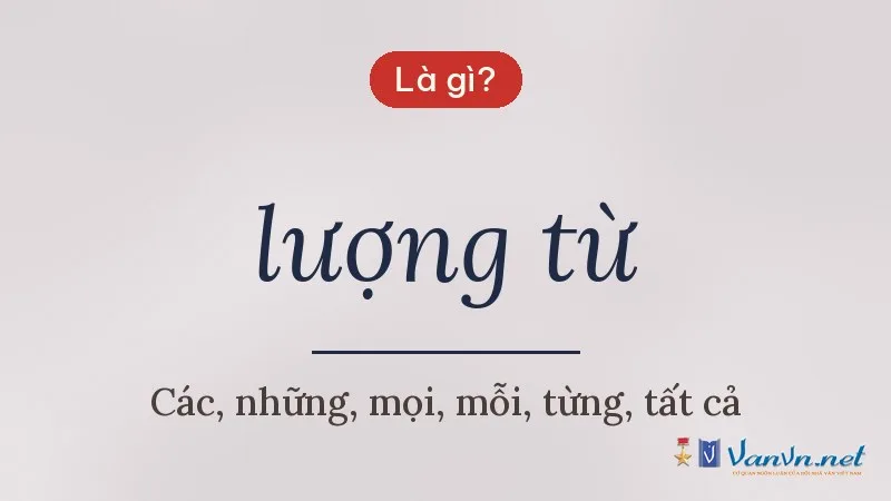 lượng từ là gì