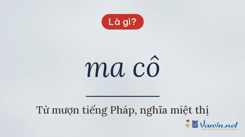 ma cô là gì