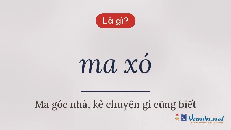 ma xó là gì