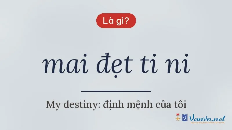 mai đẹt ti ni là gì
