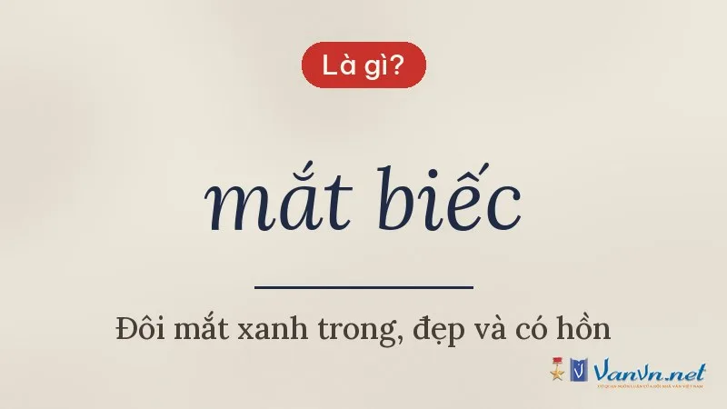 mắt biếc là gì