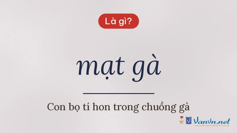 mạt gà là gì