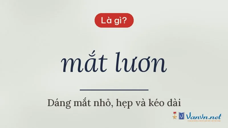 mắt lươn là gì
