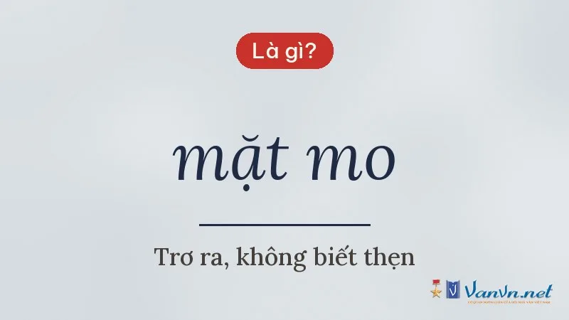mặt mo là gì