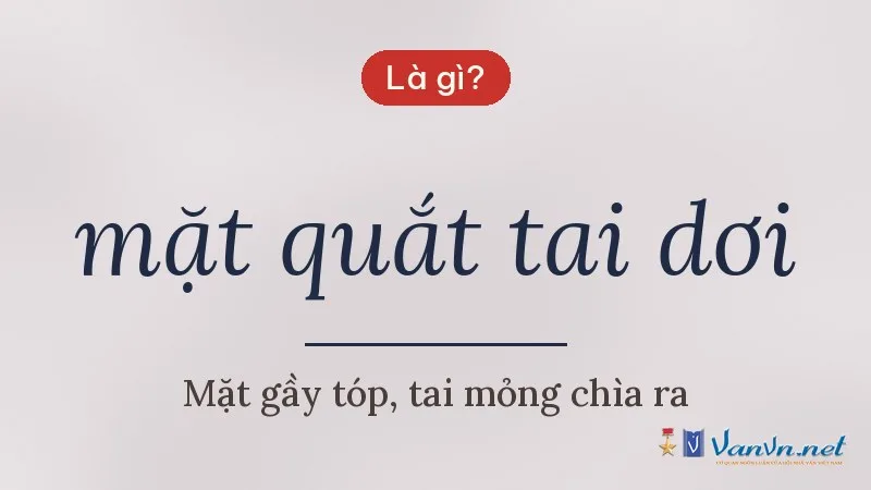 mặt quắt tai dơi là gì