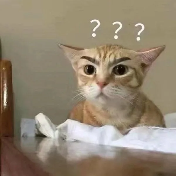meme chấm hỏi