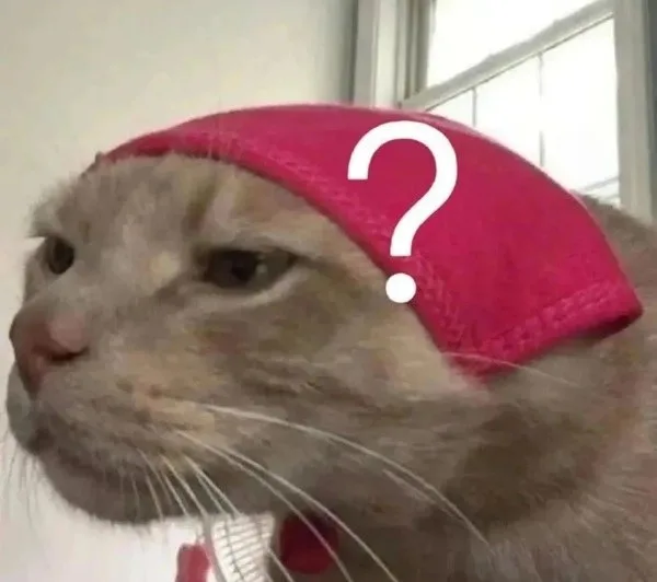 meme chấm hỏi